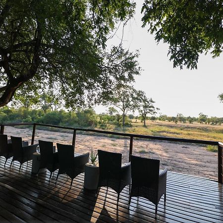 Senalala Safari Lodge Klaserie Private Nature Reserve Zewnętrze zdjęcie