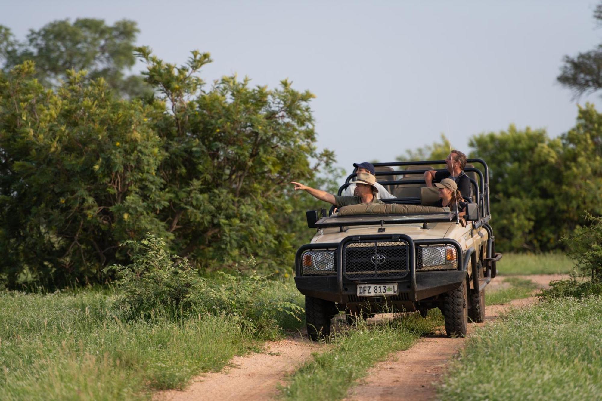 Senalala Safari Lodge Klaserie Private Nature Reserve Zewnętrze zdjęcie